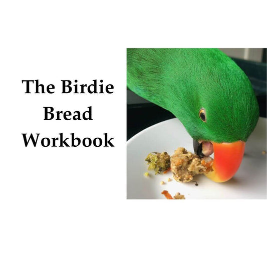 The Birdie Bread Workbook ( Digital PDF)