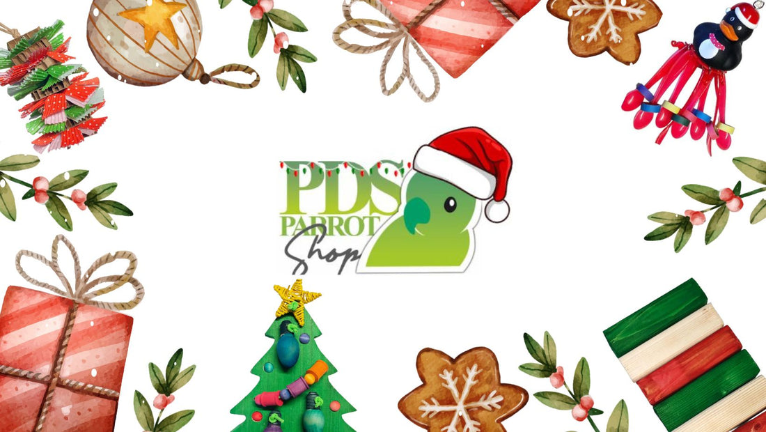 View of Handmade Parrot Toys | Natural Bird Toys | PDS Parrot Shop
