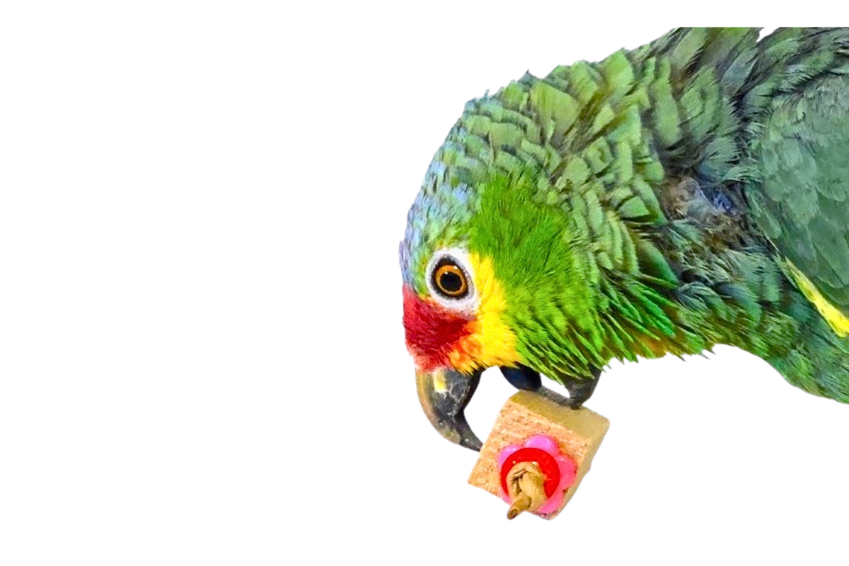 Handmade Parrot Toys Natural Bird