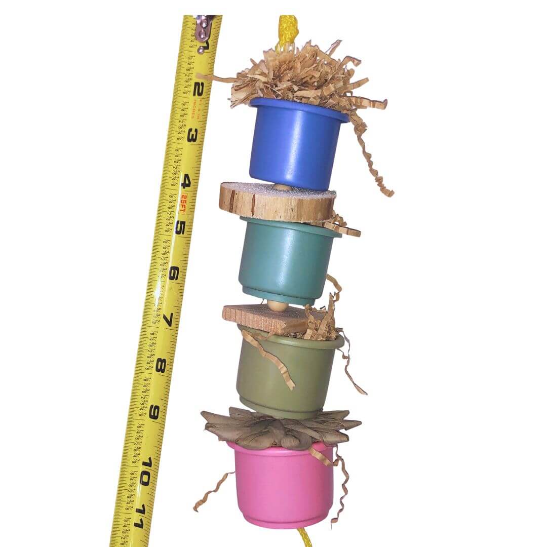 foraging cups with natural bird toy items