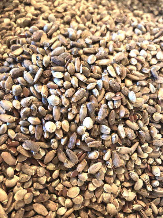health Smart seed mix for birds