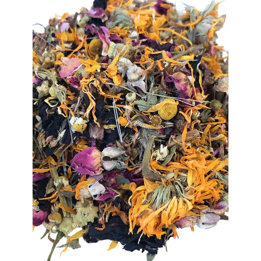 Foraging Herbs for parrots