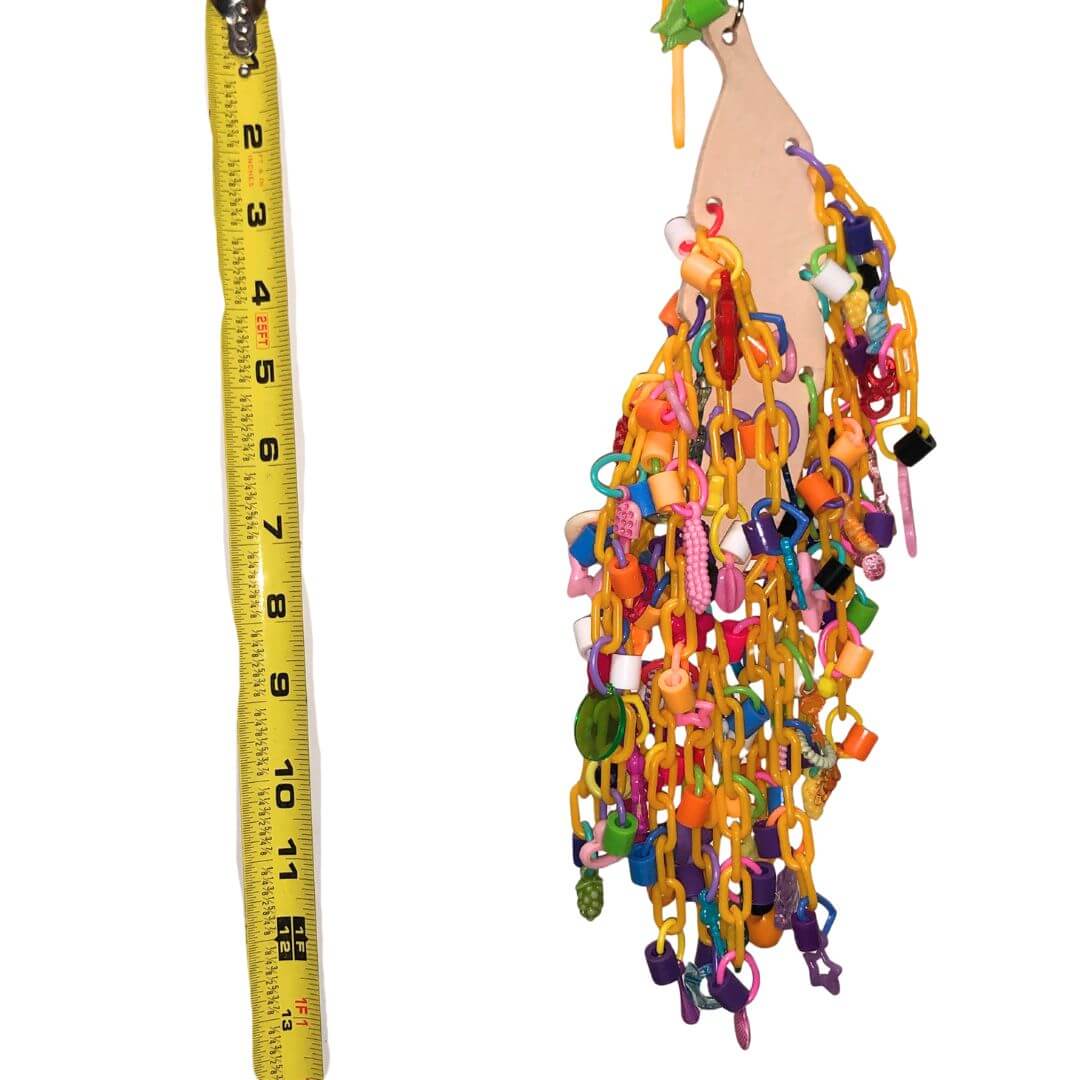 leather with charms and chain 