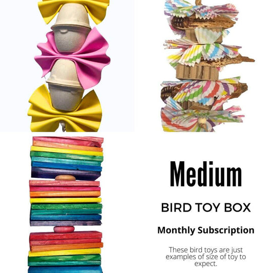Bird_toy_box_subscription