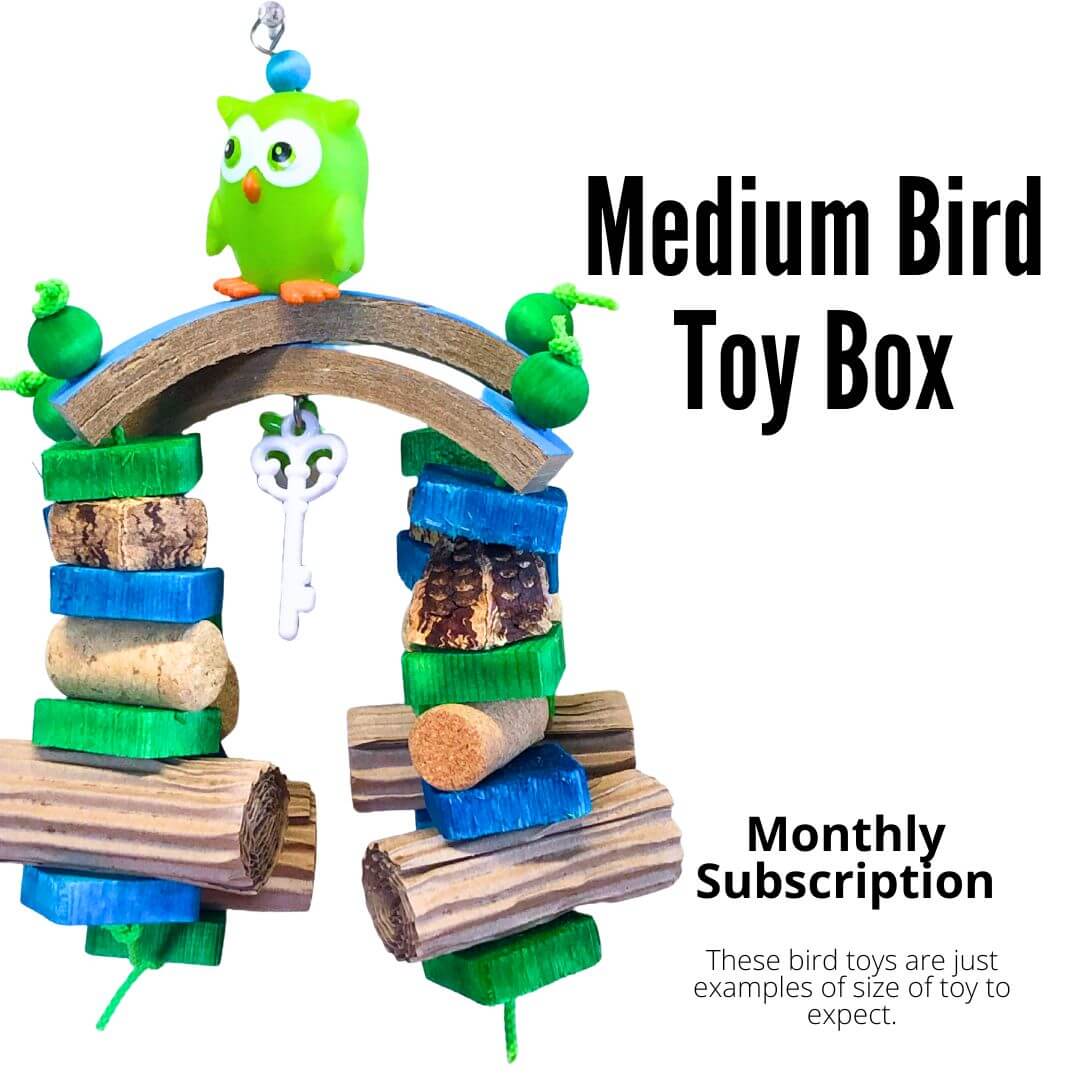 Medium Bird Toy Box | Subscription