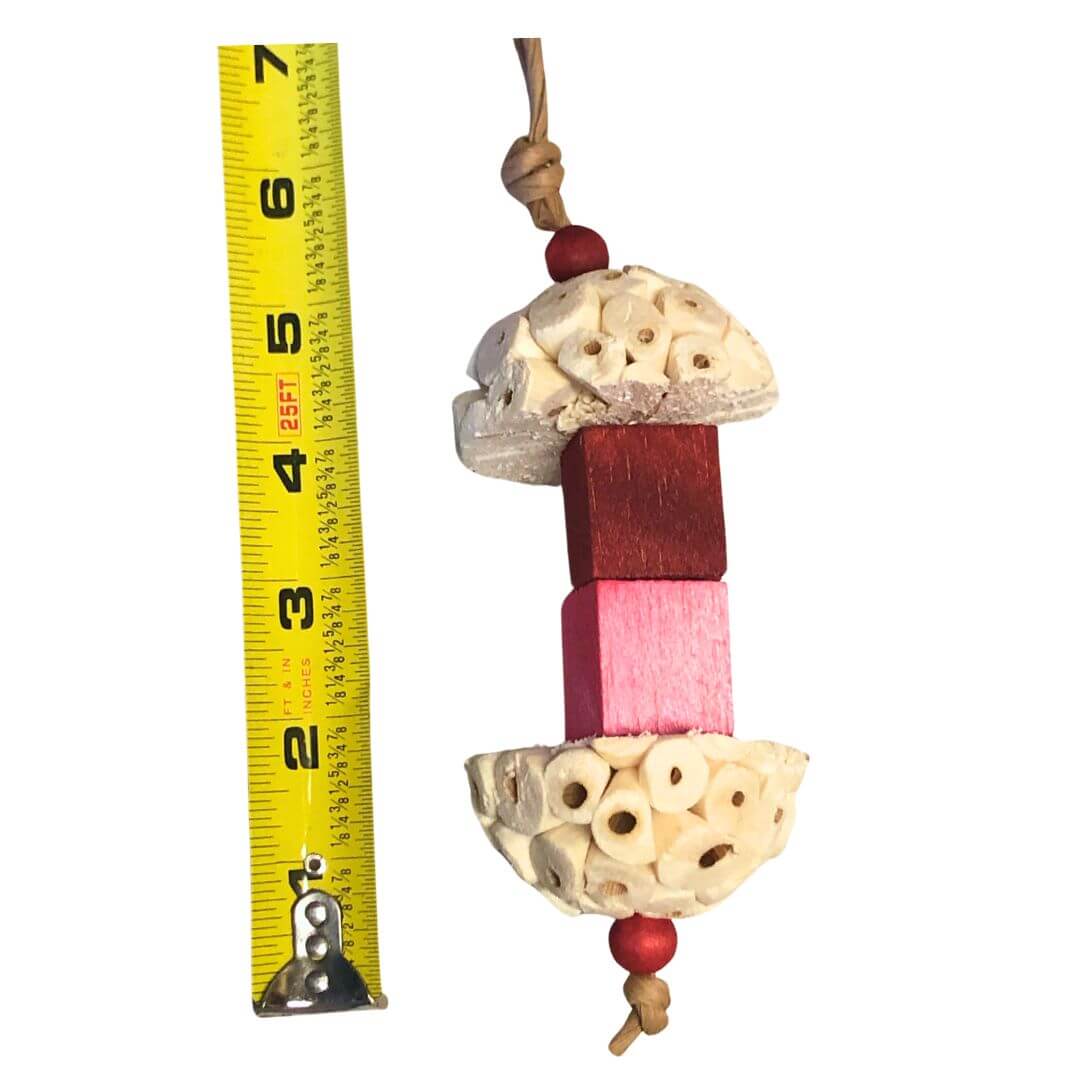 Aazon.co : Vehoy 2Pcs Halloween Bird Chewing Toys Bird Shredder Toy Parrot Wood Block