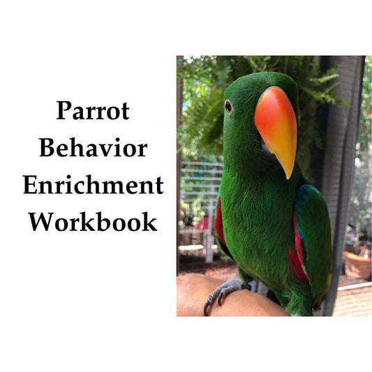 Parrot Behavior Enrichment Workbook with a green parrot on a white background