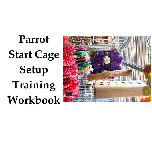 Cover of 'Parrot Start Cage Setup Training Workbook' with colorful parrot toys and a cage.