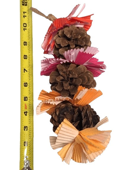 Pinecone bird toy