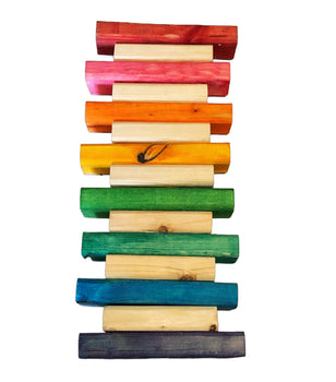 rainbow wood bird toy
