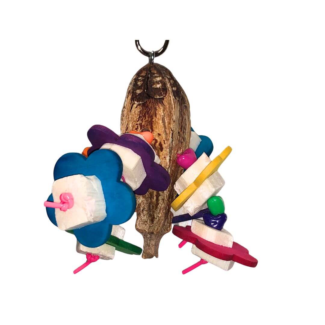 Colorful bird toy with wooden element on a white background