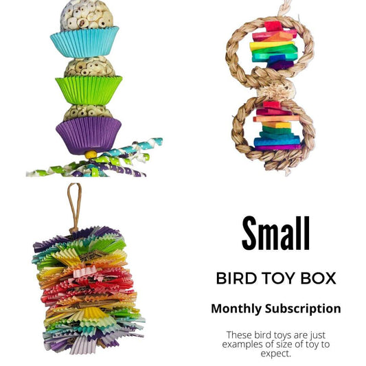 Bird_toy_box_subscription
