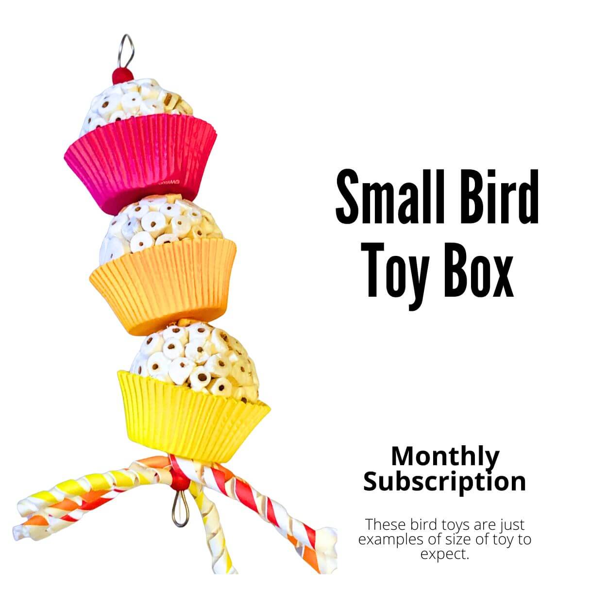 Small Bird Toy Box | Subscription