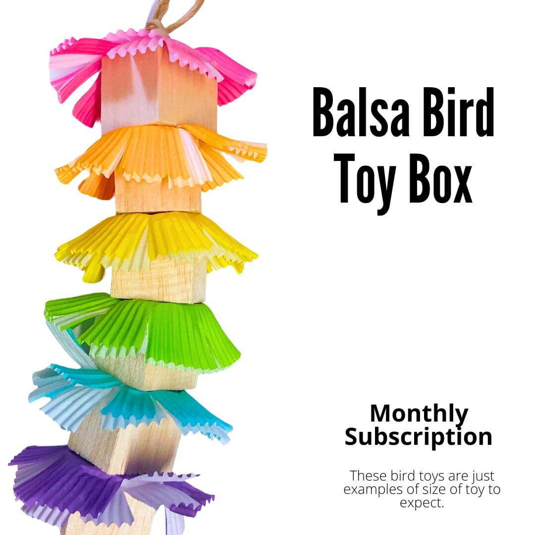 Balsa Bird Toy Box | Subscription