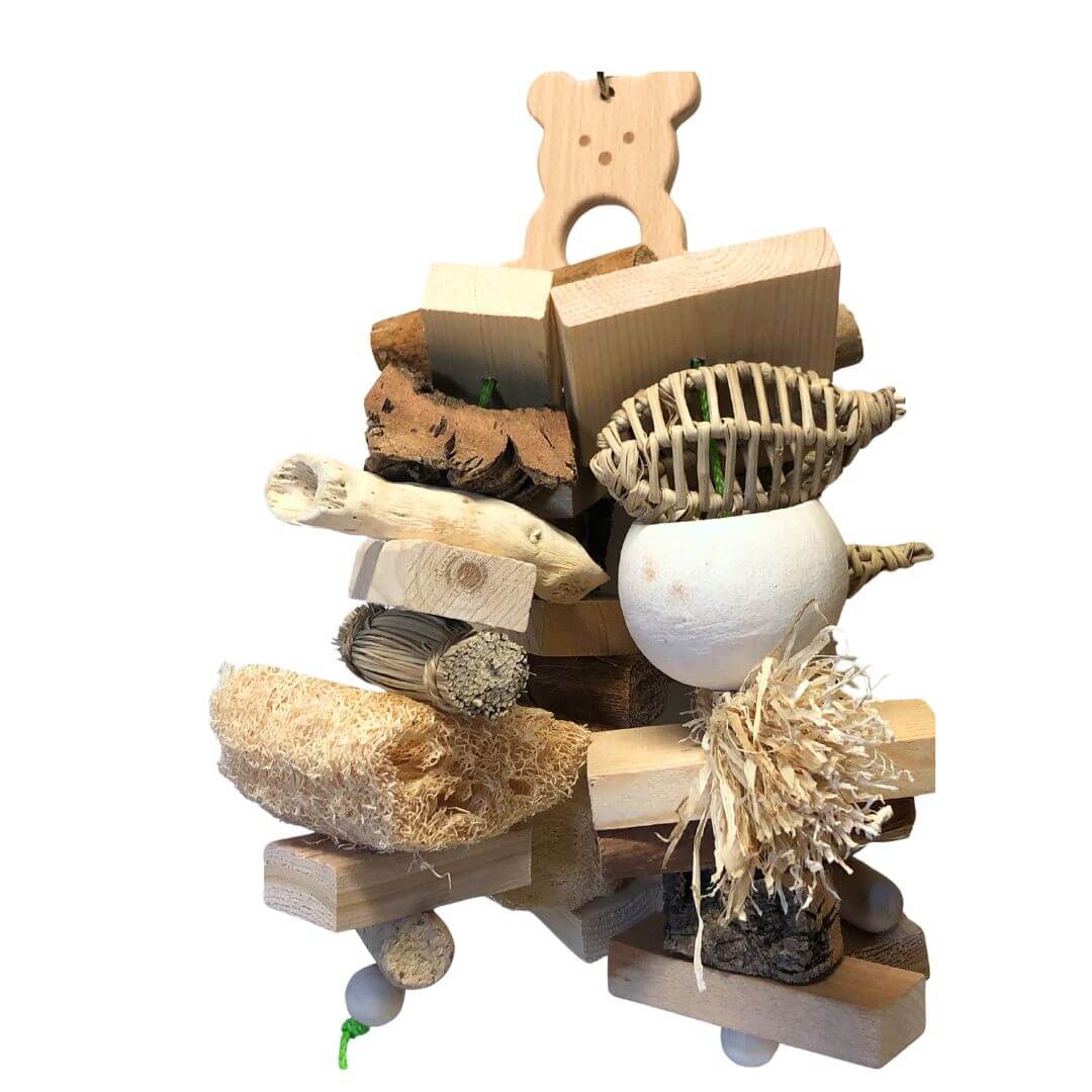 birch bear with lots of natural items
