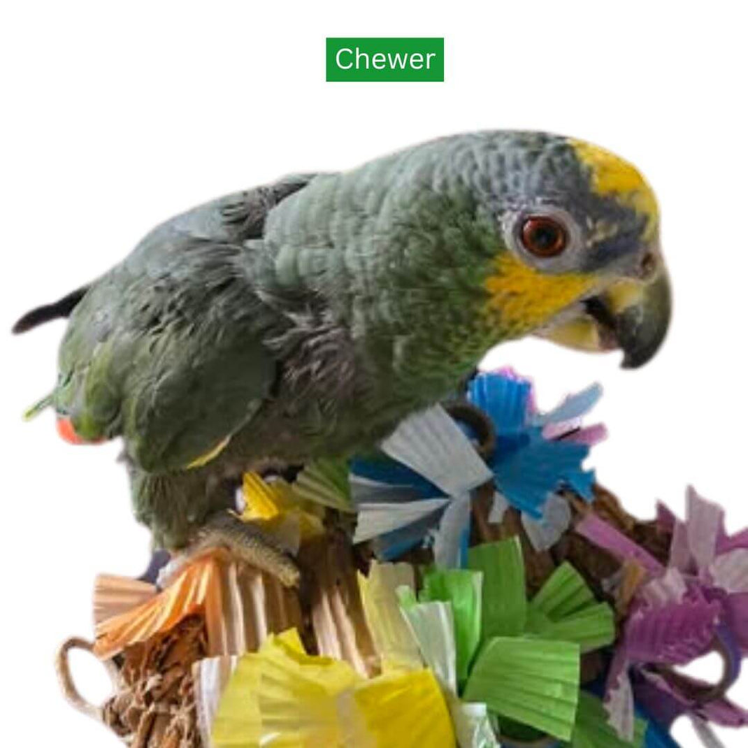 Bird Toys | Handmade Parrot Toys – PDS Parrot Shop