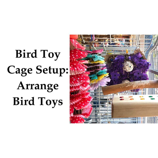 Bird toy cage setup with colorful toys and a text overlay on a white background