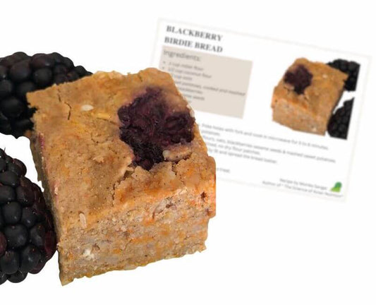 Blackberry Recipe Card