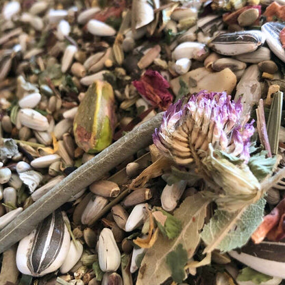 bird seed mix with herbs, nuts and seeds