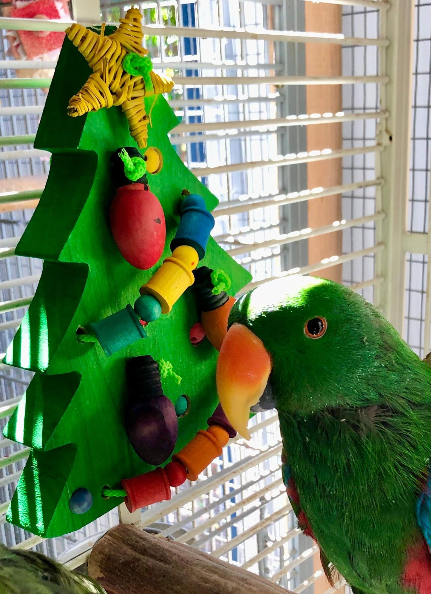 christmas tree hanging on the side of cage