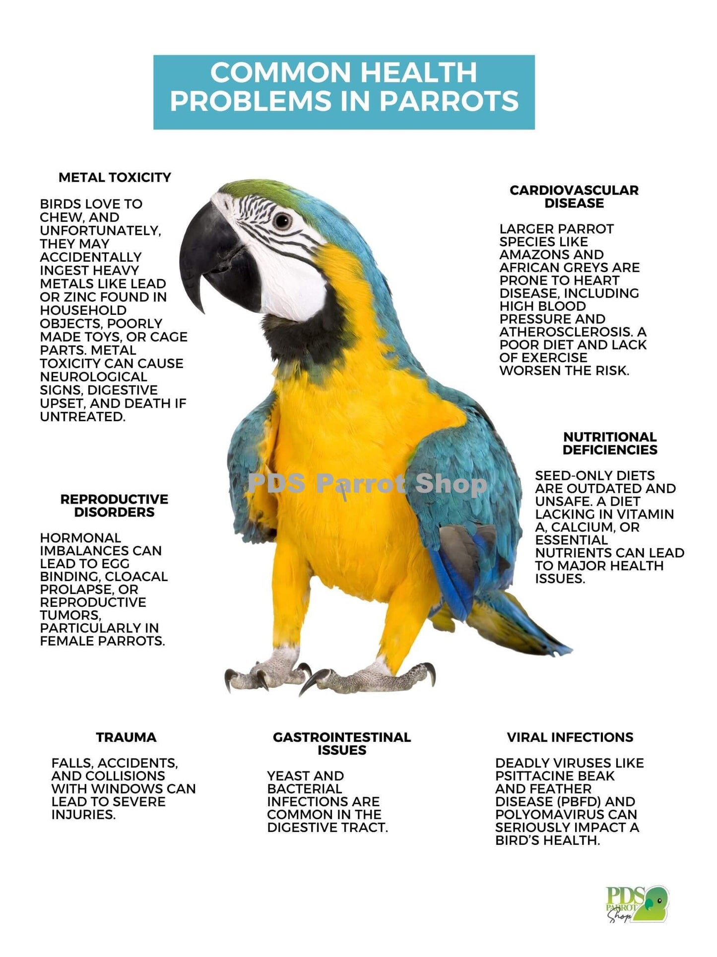 Common Health Problems In Birds Poster by Monika Sangar (PDF)