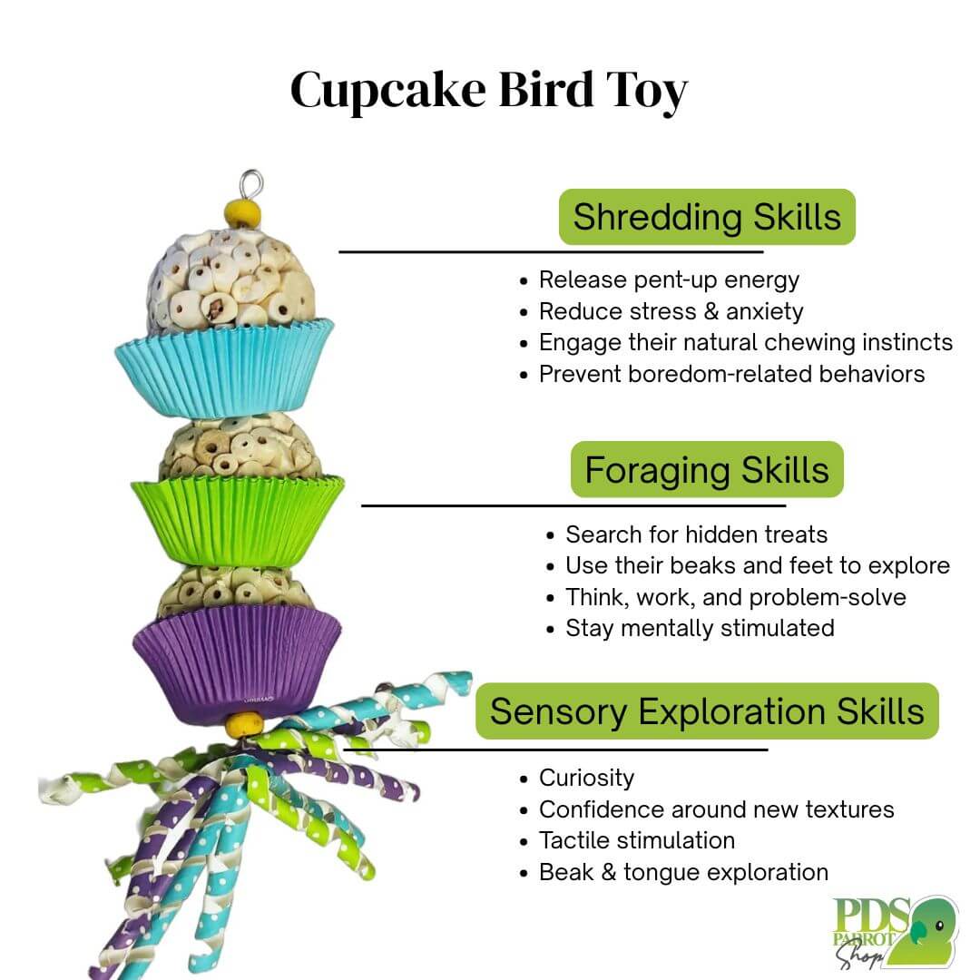 Cupcake bird toy with text explaining its benefits for birds' skills.