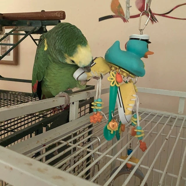 amazon playing with duck toy with spoons and shoes. 
