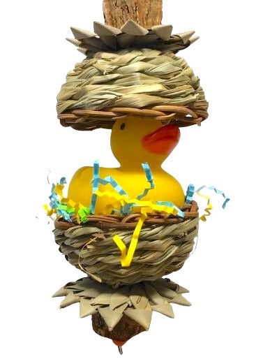 peekaboo duck bird toy