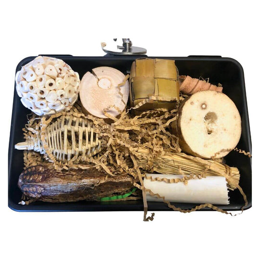 foraging box for birds
