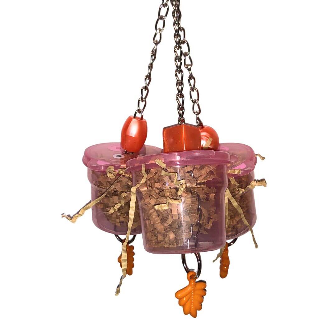 Foraging Cup bird toy
