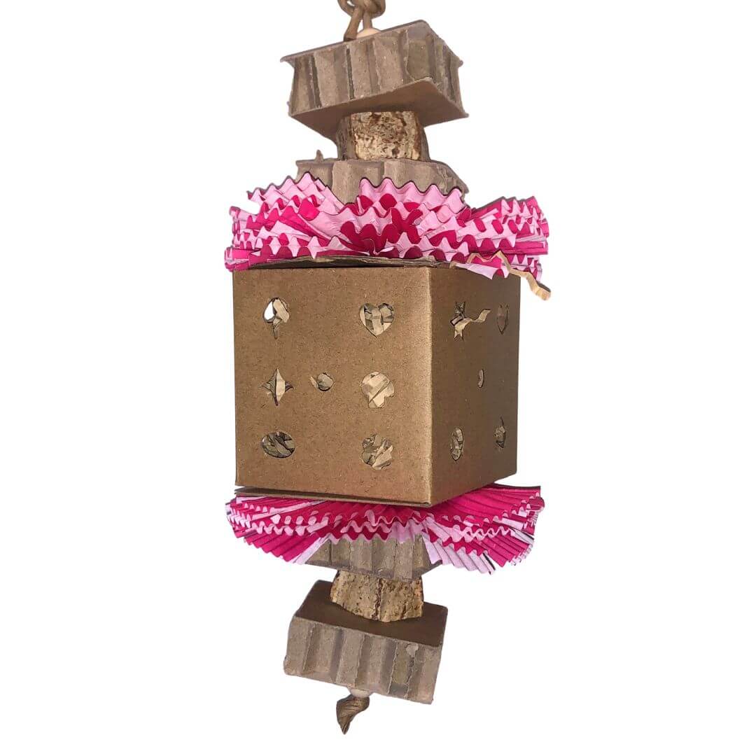 Bird toy with cardboard foraging box. 
