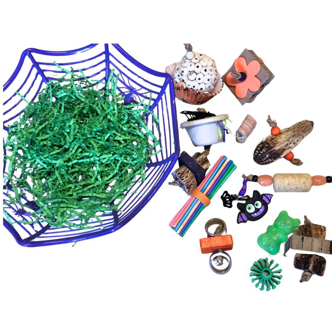 halloween bird toys 