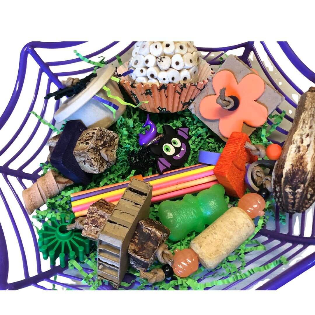 halloween bird toys

