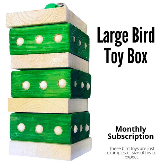 Large Bird Toy Box | Subscription