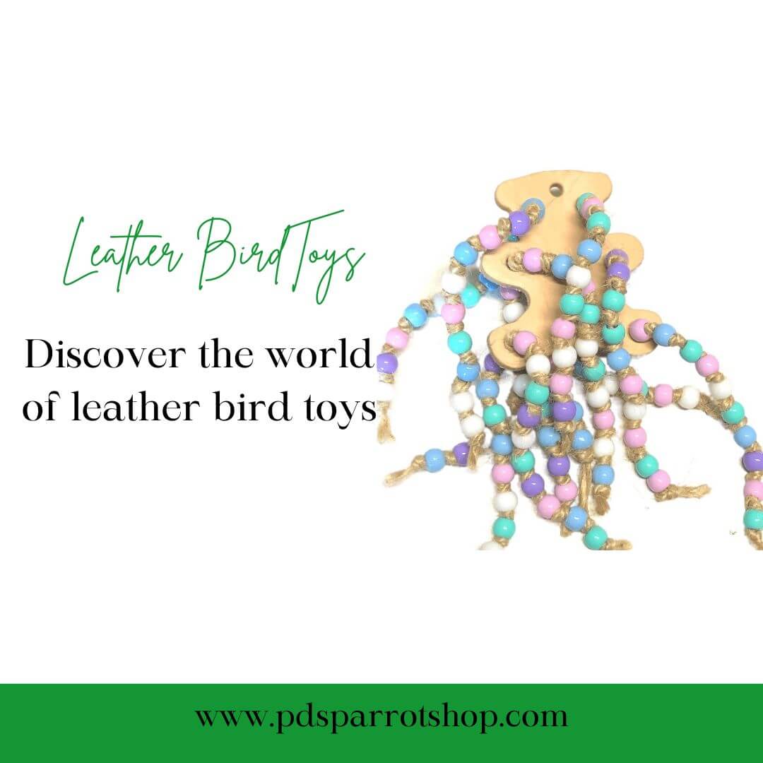 Image showcasing Bird Toys | Natural Handmade Parrot Toys | PDS Parrot Shop