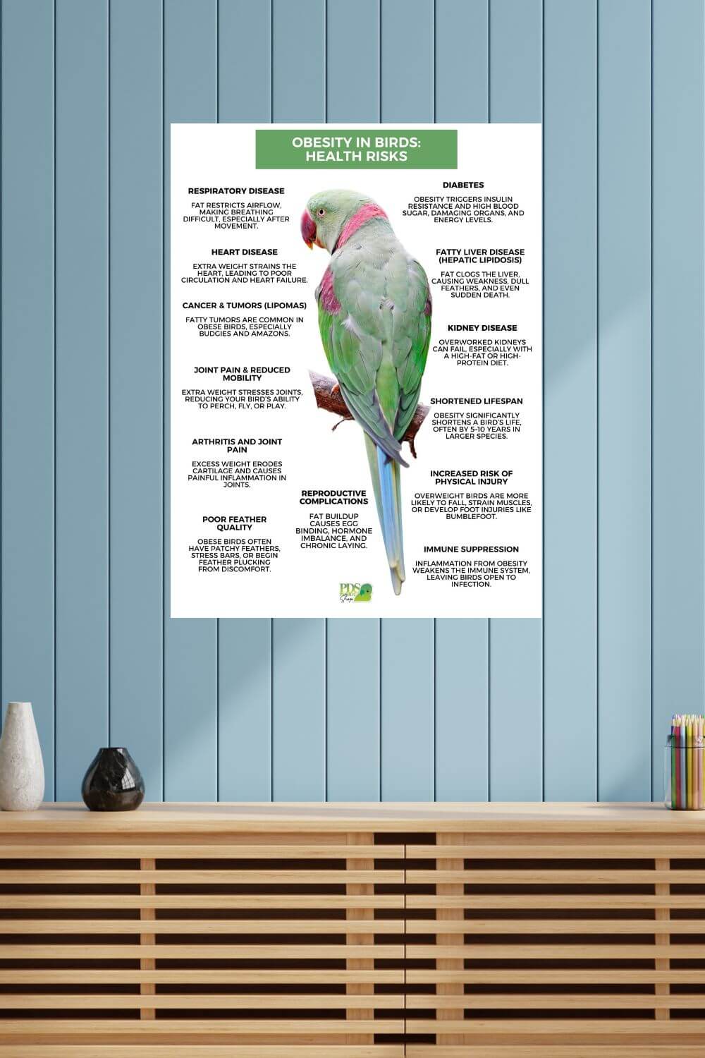 Poster on a blue wall with a parrot illustration and text about obesity in birds.