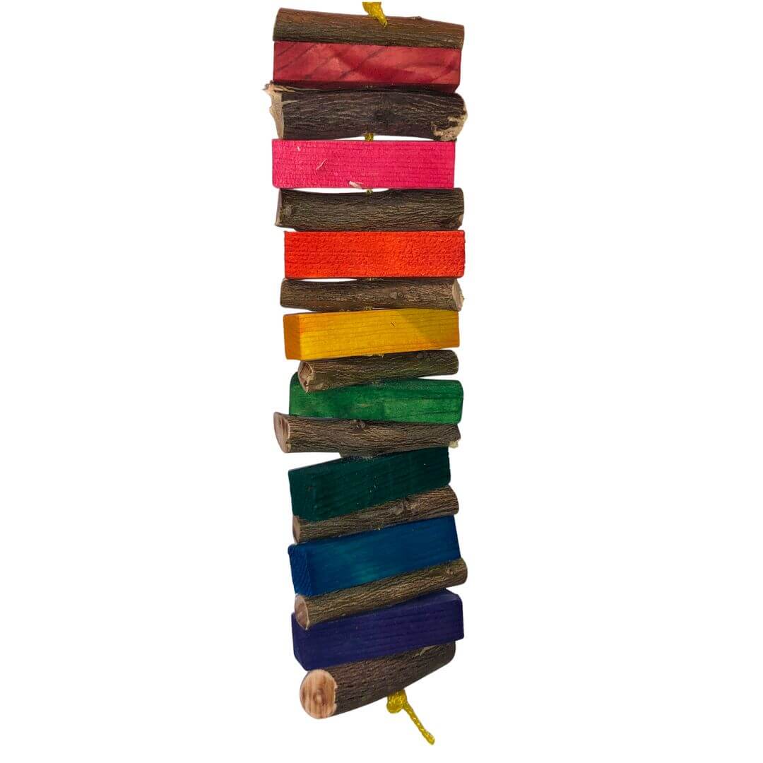 orange branches with pinewood bird toy
