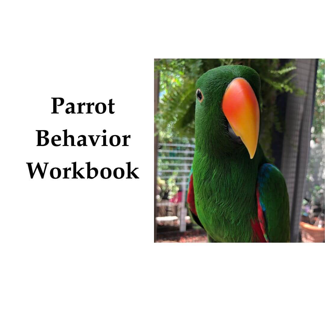 A book cover titled 'Parrot Behavior Workbook' on a white background, with a square inset photo of a green parrot with a bright orange-yellow beak on the right.