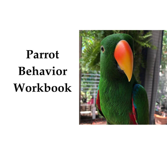 A book cover titled 'Parrot Behavior Workbook' on a white background, with a square inset photo of a green parrot with a bright orange-yellow beak on the right.