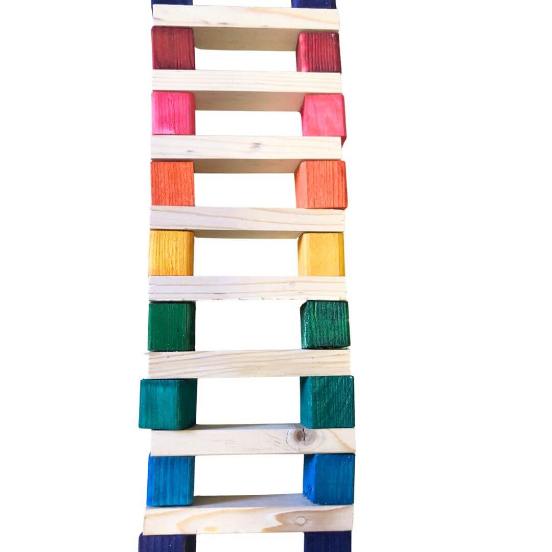 bird ladder made from colorful blocks 
