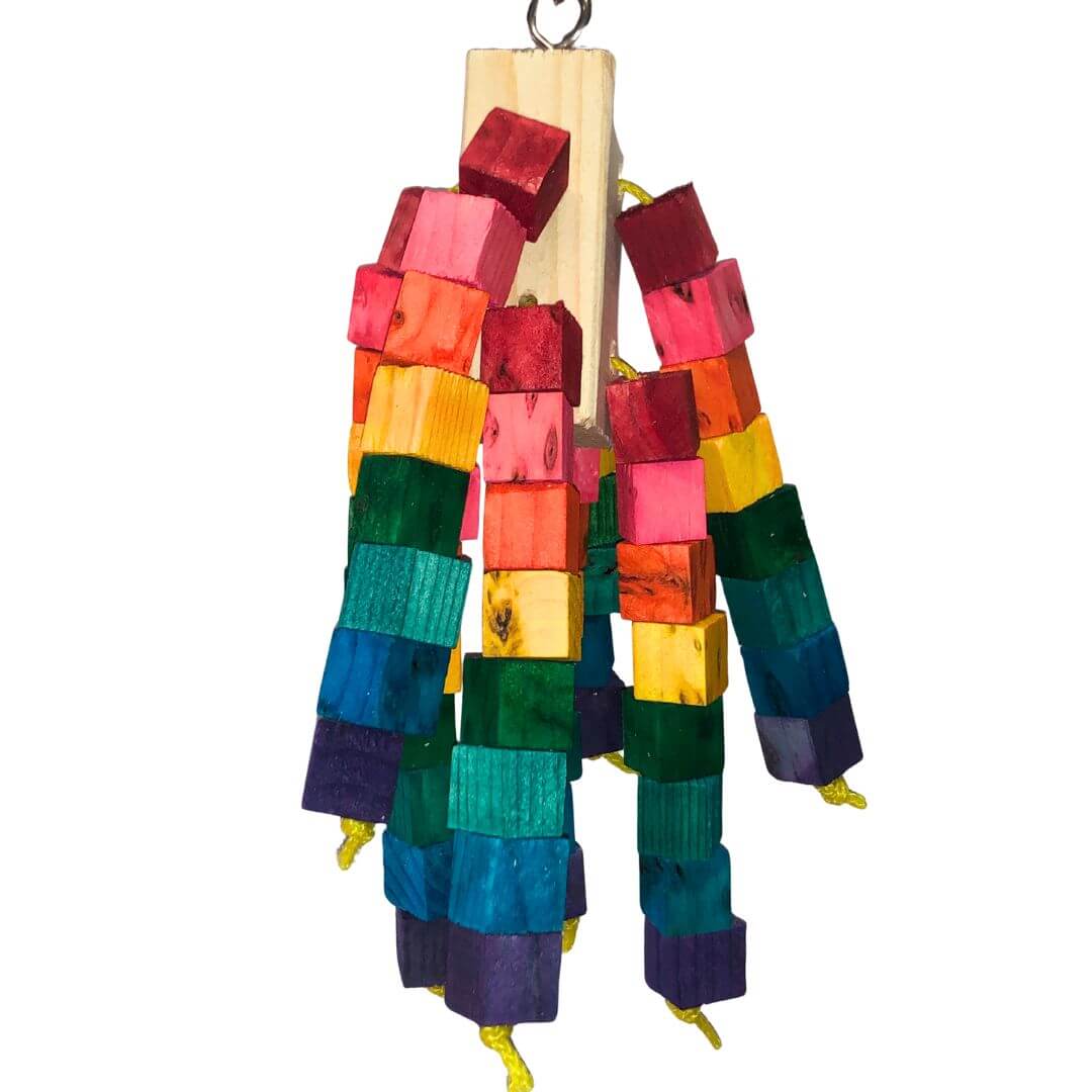 Colorful bird toy with wooden block bird toy on a white background