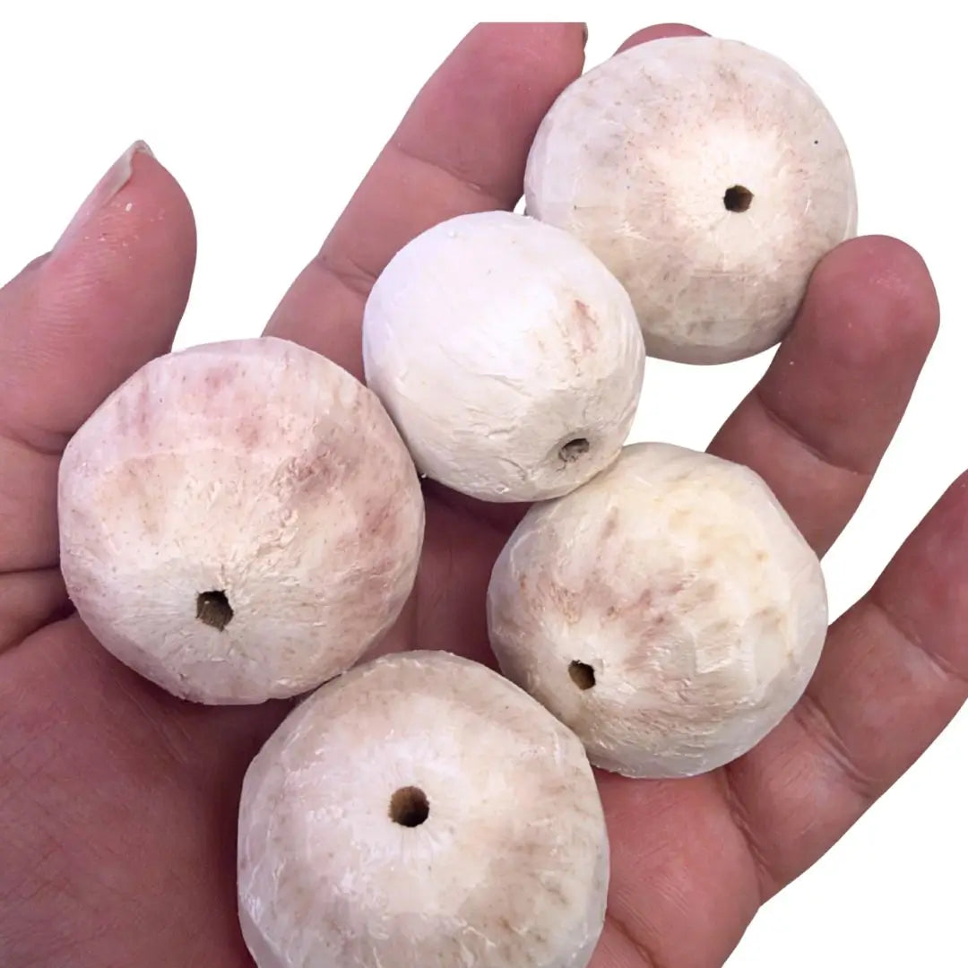 sola snowball bird toy part