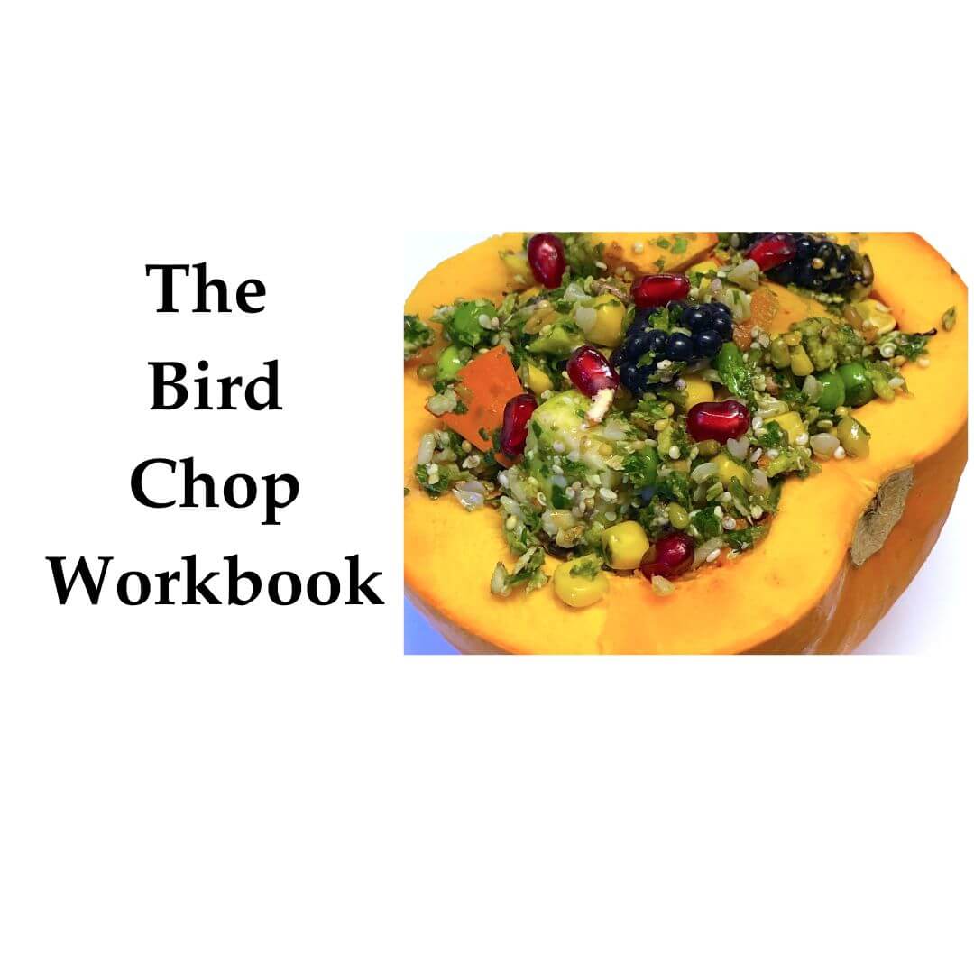 Book titled 'The Bird Chop Workbook' with a picture of a stuffed pumpkin on a white background