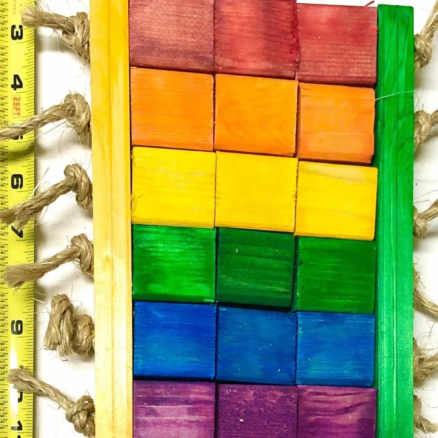 rainbow checkerboard bird toy