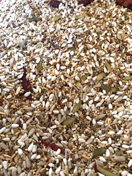 seed mix for parrots 