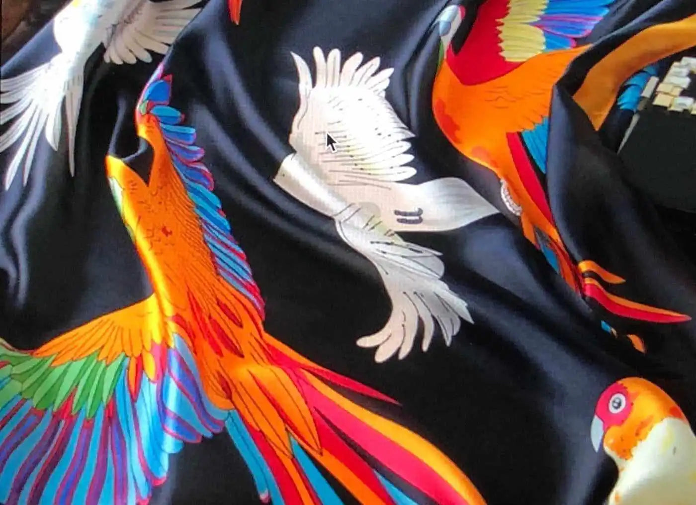 Bright parrots on a black background scarf