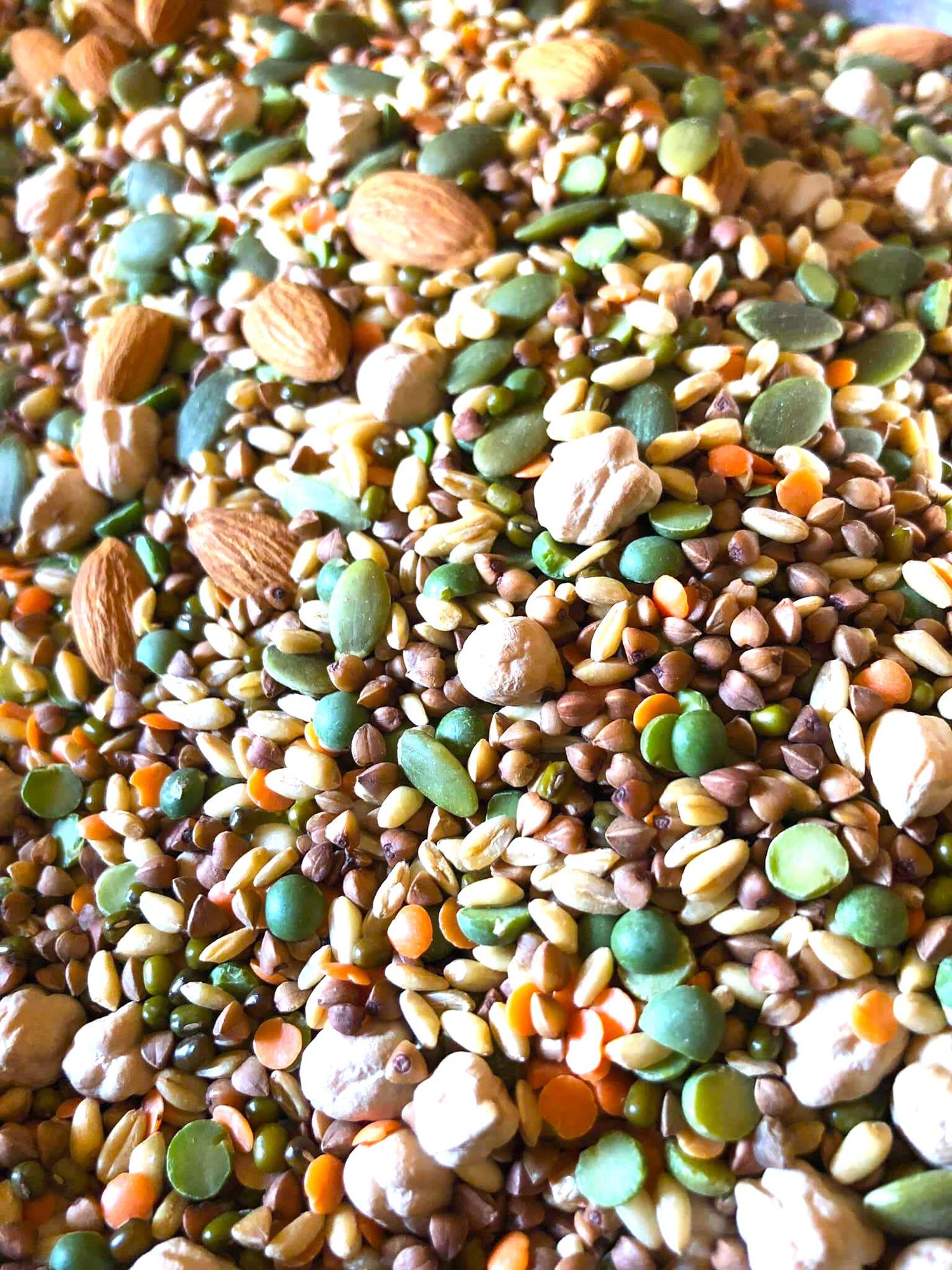 Raw Chop Mix for birds. 