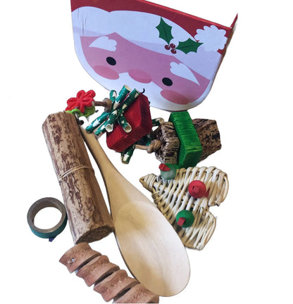 special small christmas box foot toy