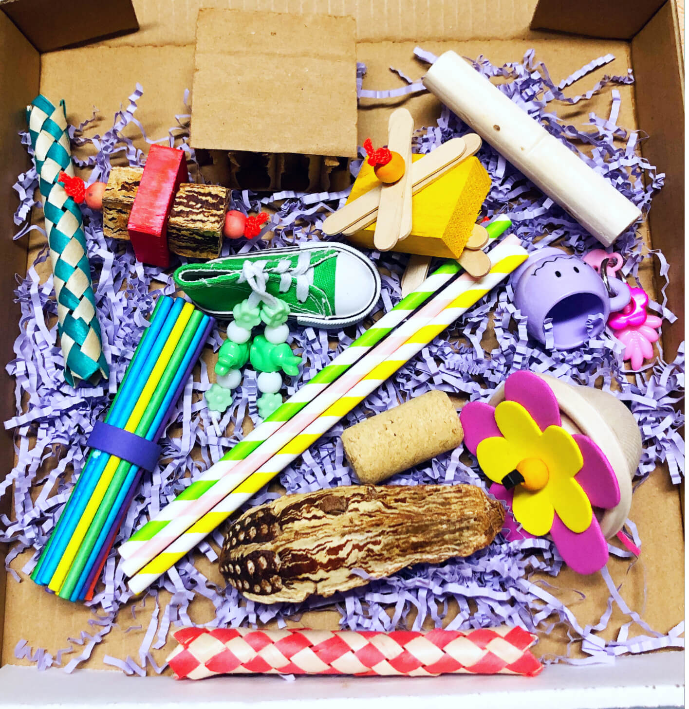 Birdie Foraging Box – PDS Parrot Shop