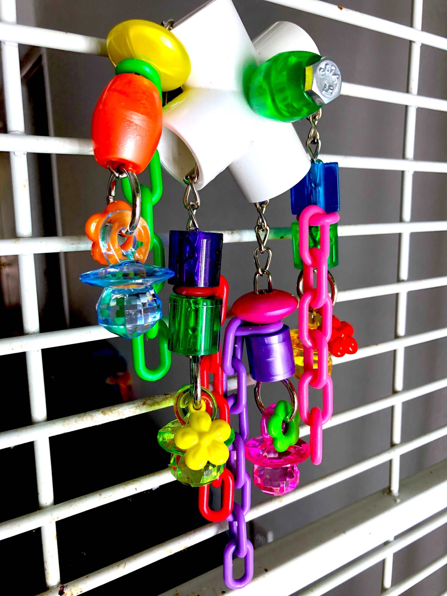 Star steller parrot toy hanging on the side of the cage